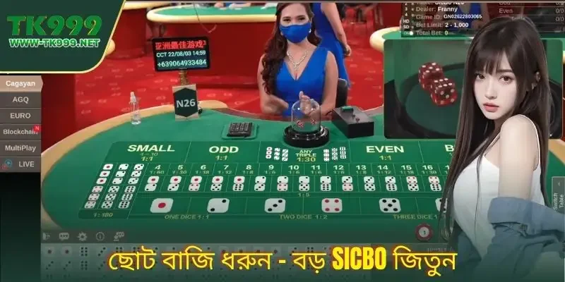 SicBo | টেকসই জয়ের জন্য স্ট্যান্ডার্ড খেলার টিপস 3 sicbo-----