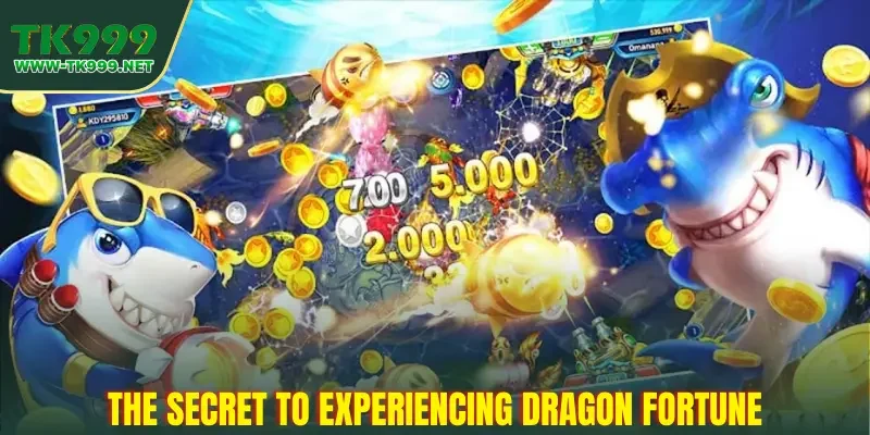 the-secret-to-experiencing-dragon-fortune