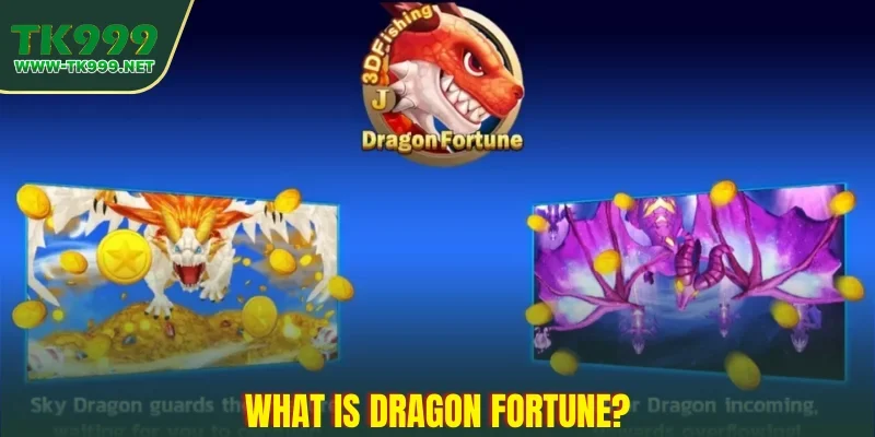 what-is-dragon-fortune